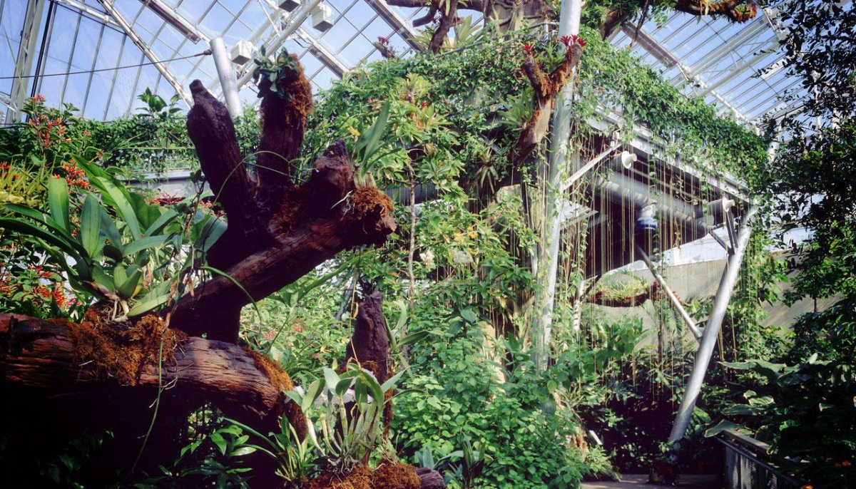 garden