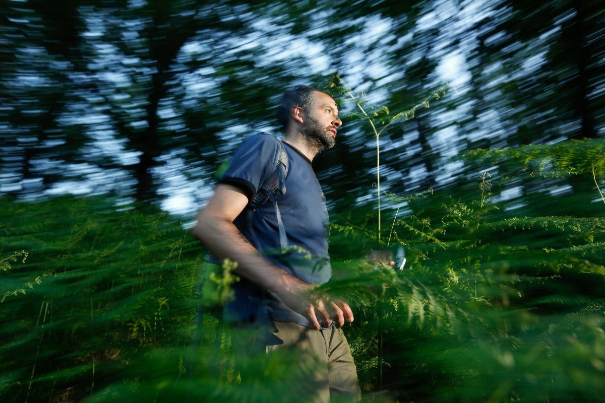 Lost Man Running Through The Woods