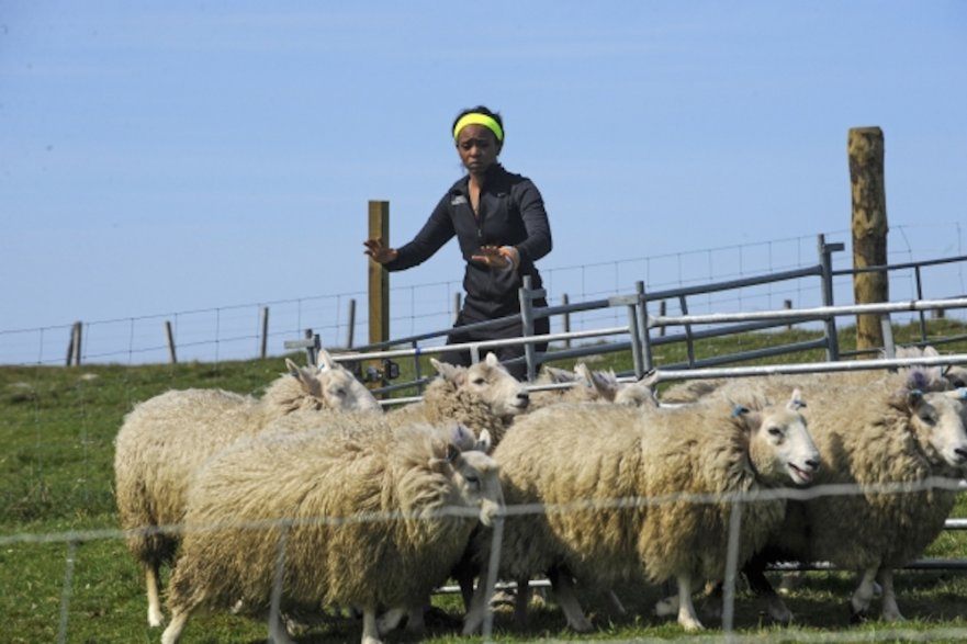 13 Best Destinations from ‘The Amazing Race' - Destination Tips