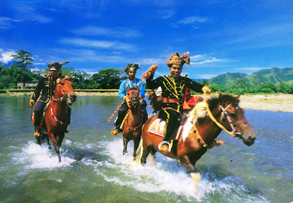 horses bajau sama
