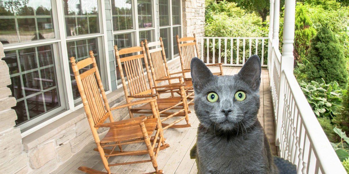 Nervous as a long-tail cat in a room full of rocking chairs