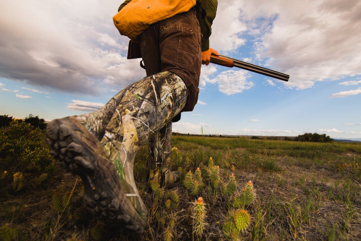 Pheasant Hunting Montana Grasslands