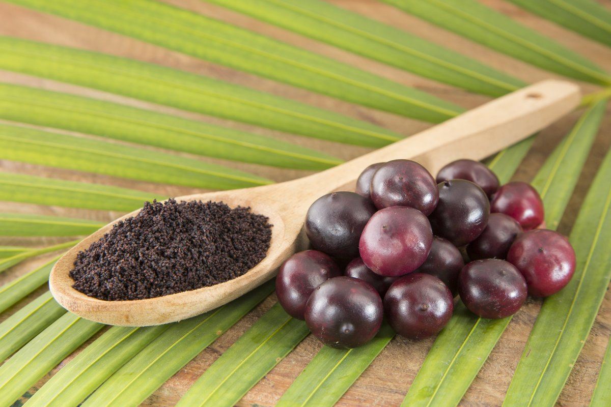 The Amazon Acai Fruit.