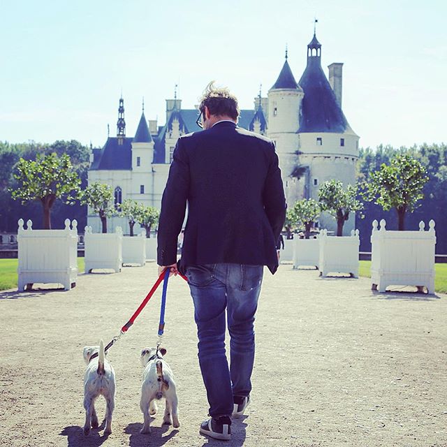 chien in a chateau