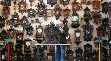 cuckooland museum