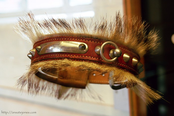 dog collar museum