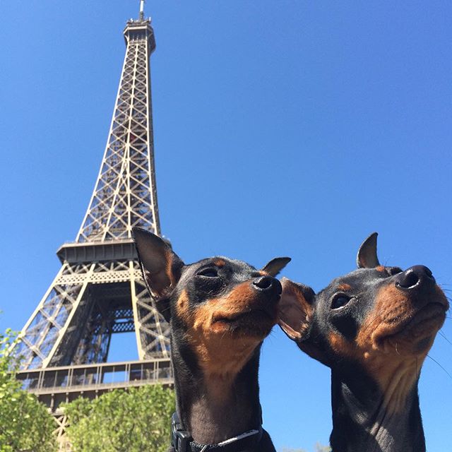 Eiffel Tower