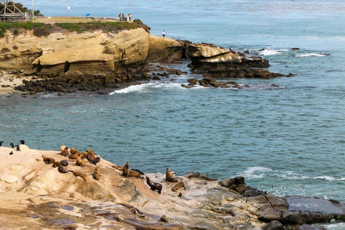 La Jolla