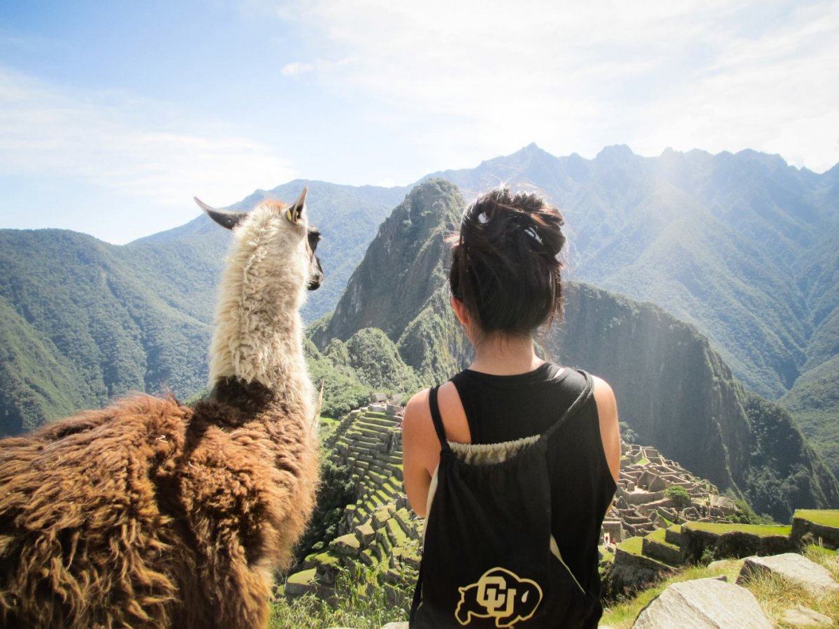 Llama and backpacker in Peru