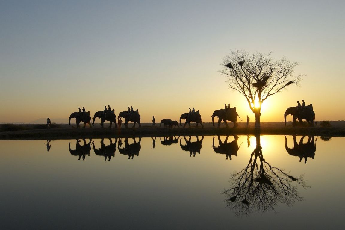 luxury safari