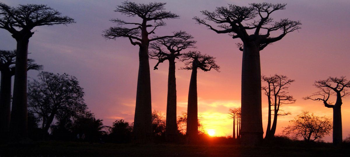 Madagascar
