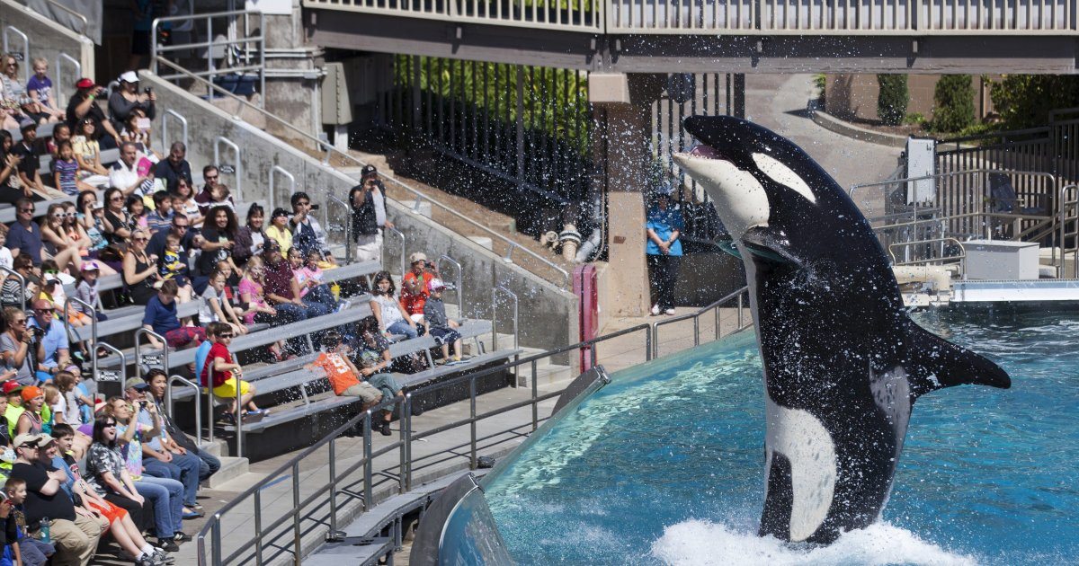 seaworld