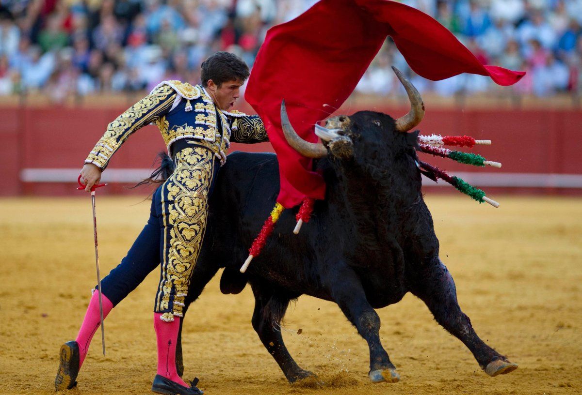 spain bullfighting