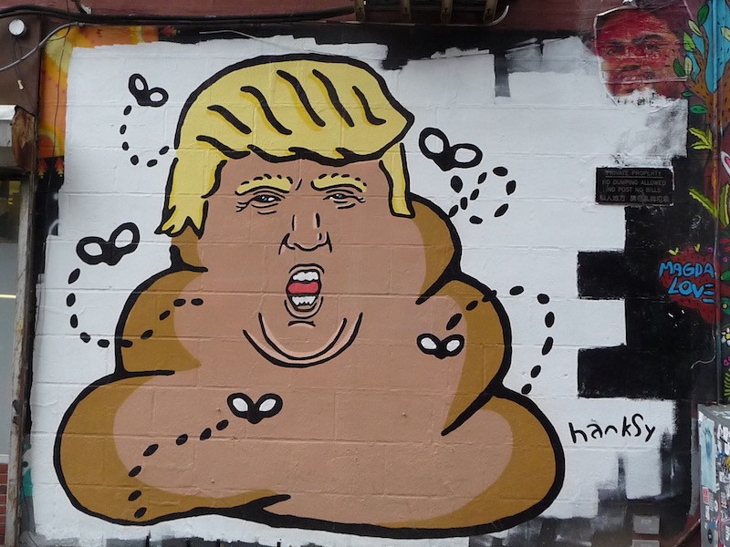 Donald Trump turd