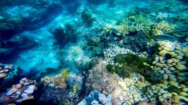 florida keys