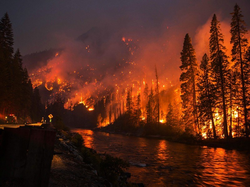 forest fires