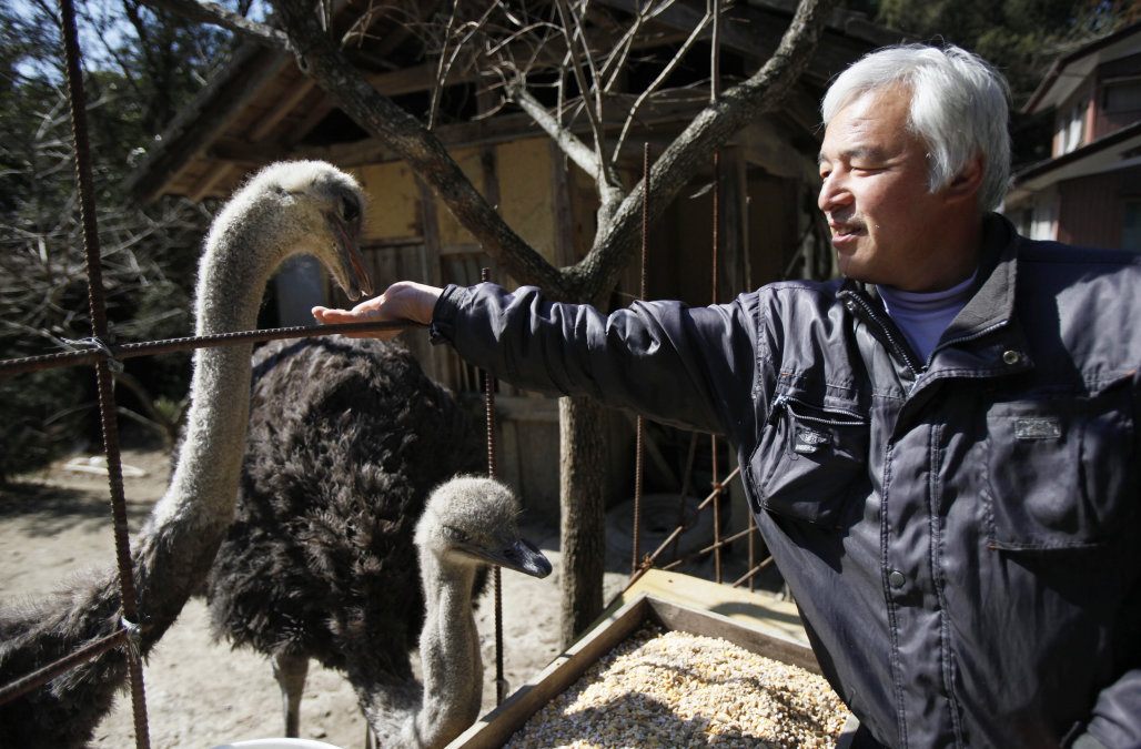 Fukushima man with ostriches