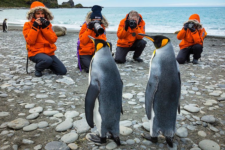 tourists in antarctica