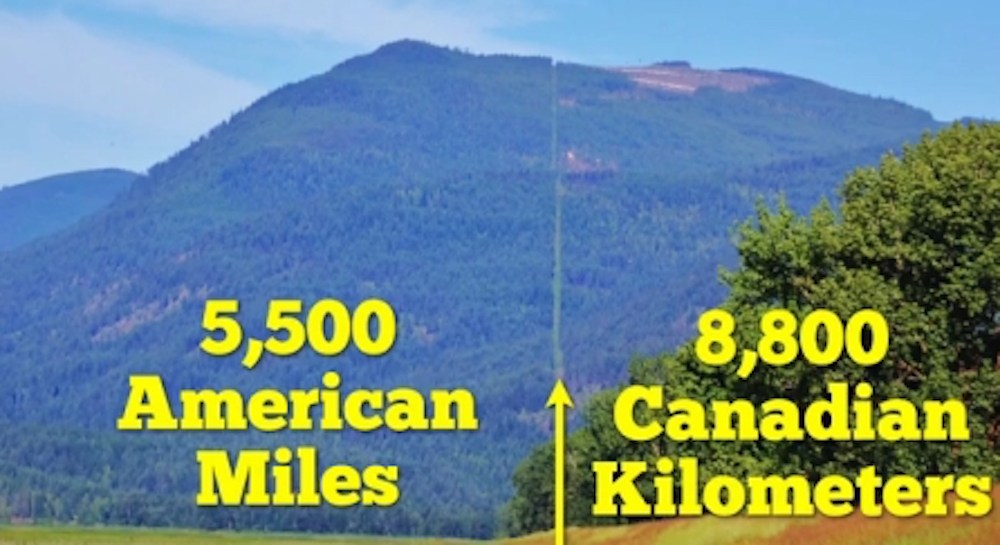 border nonsense