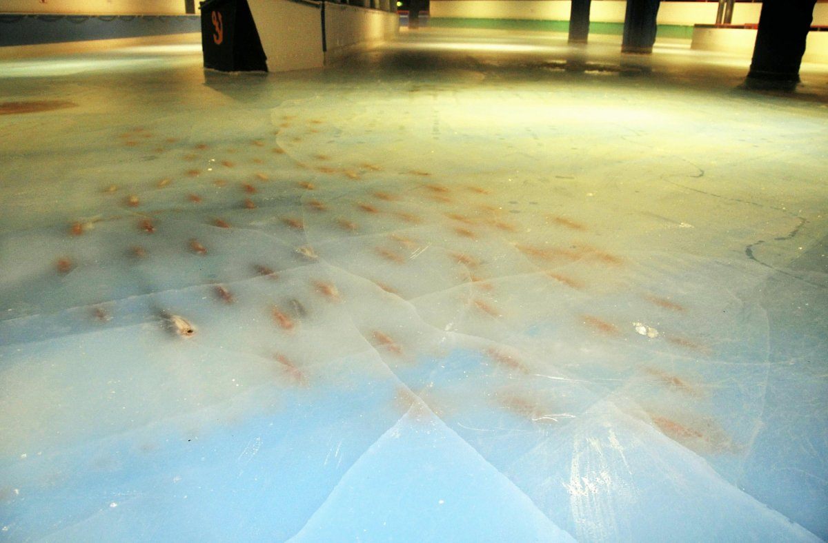 fish rink