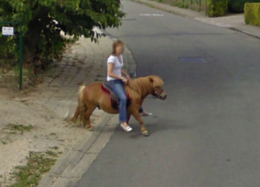 Pony