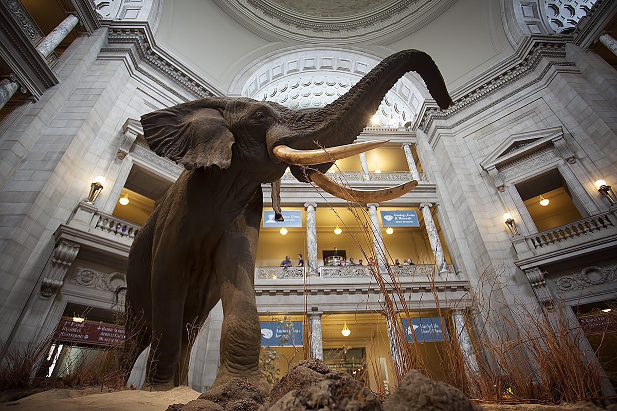 Smithsonian