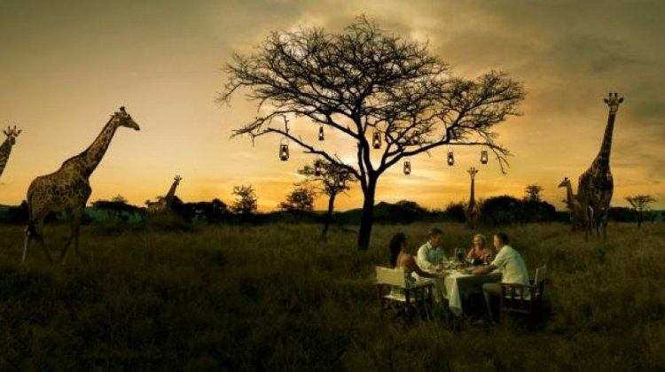 bush dinner