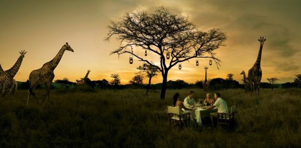 bush dinner