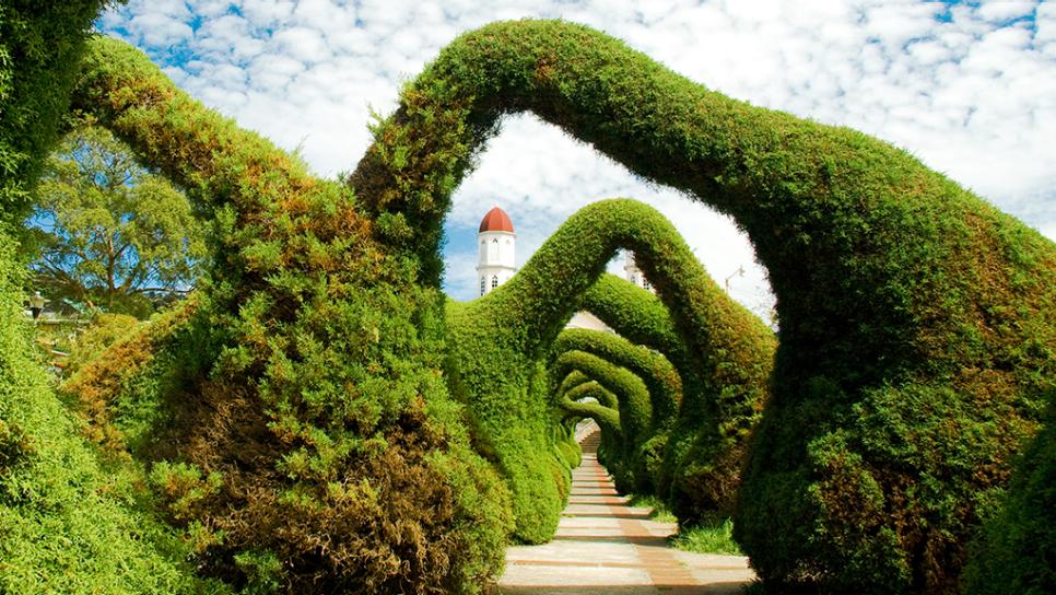 Costa rica2