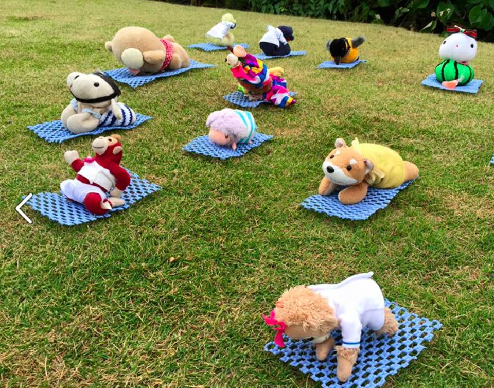 stuffed animals yoga