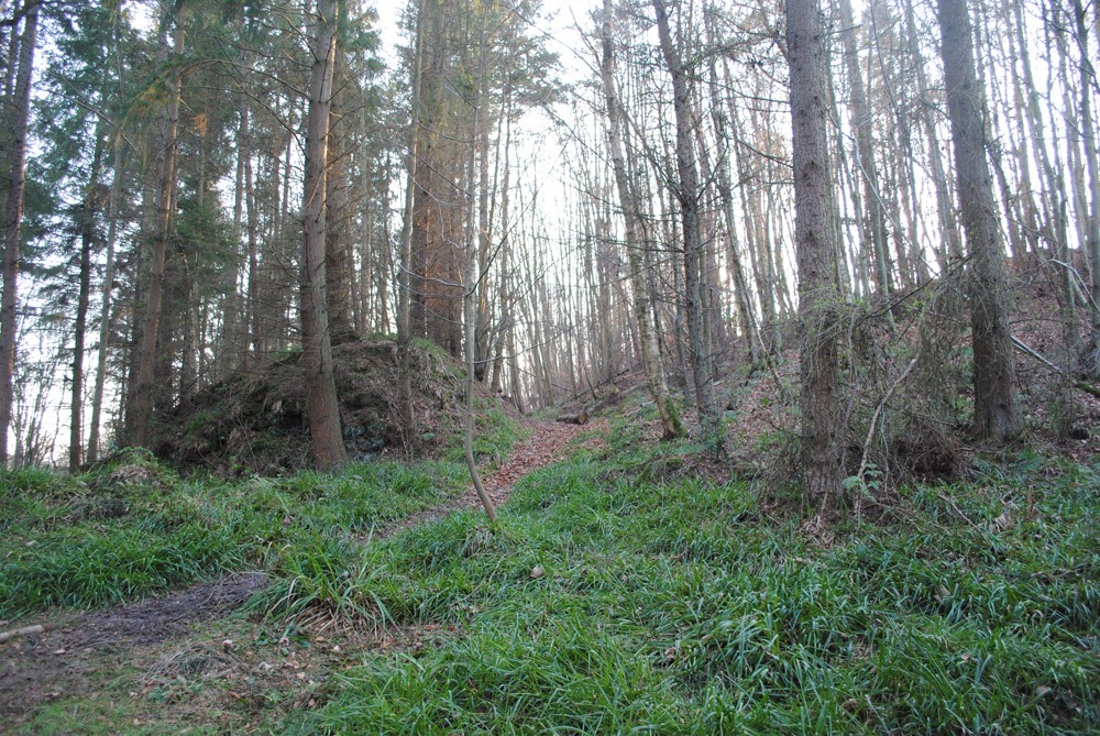 Devil's Causeway