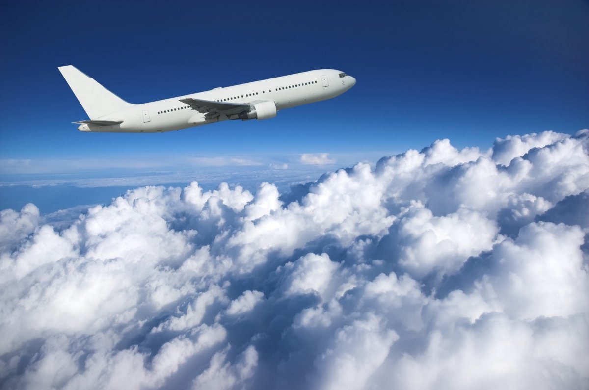 flight