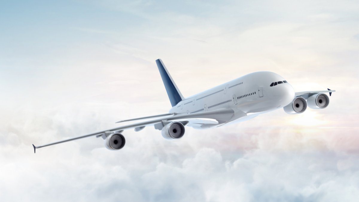 Flight
