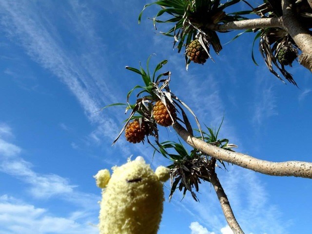 Hawaii
