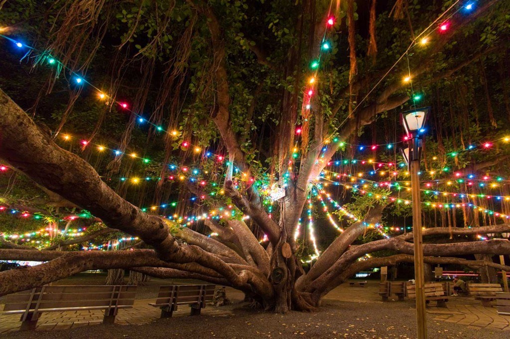 Lights