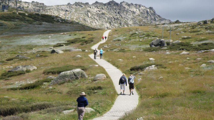 mount kosciuszko