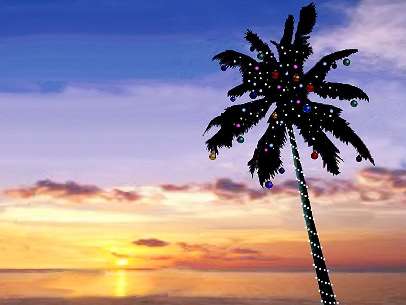 Palm