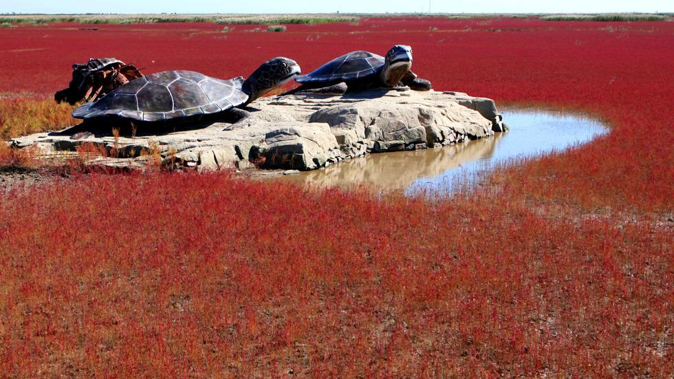 Red Beach