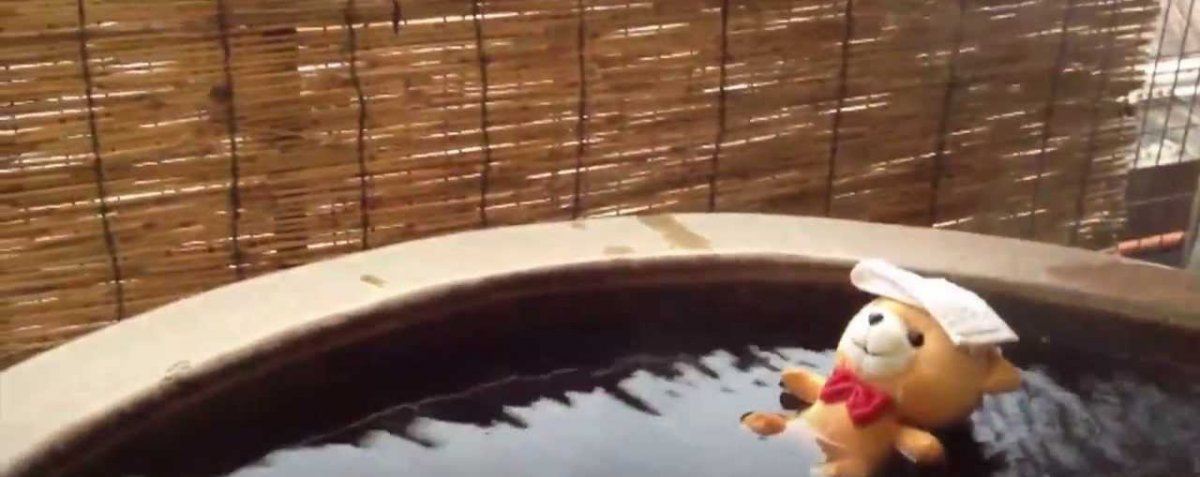 stuffed animal spa