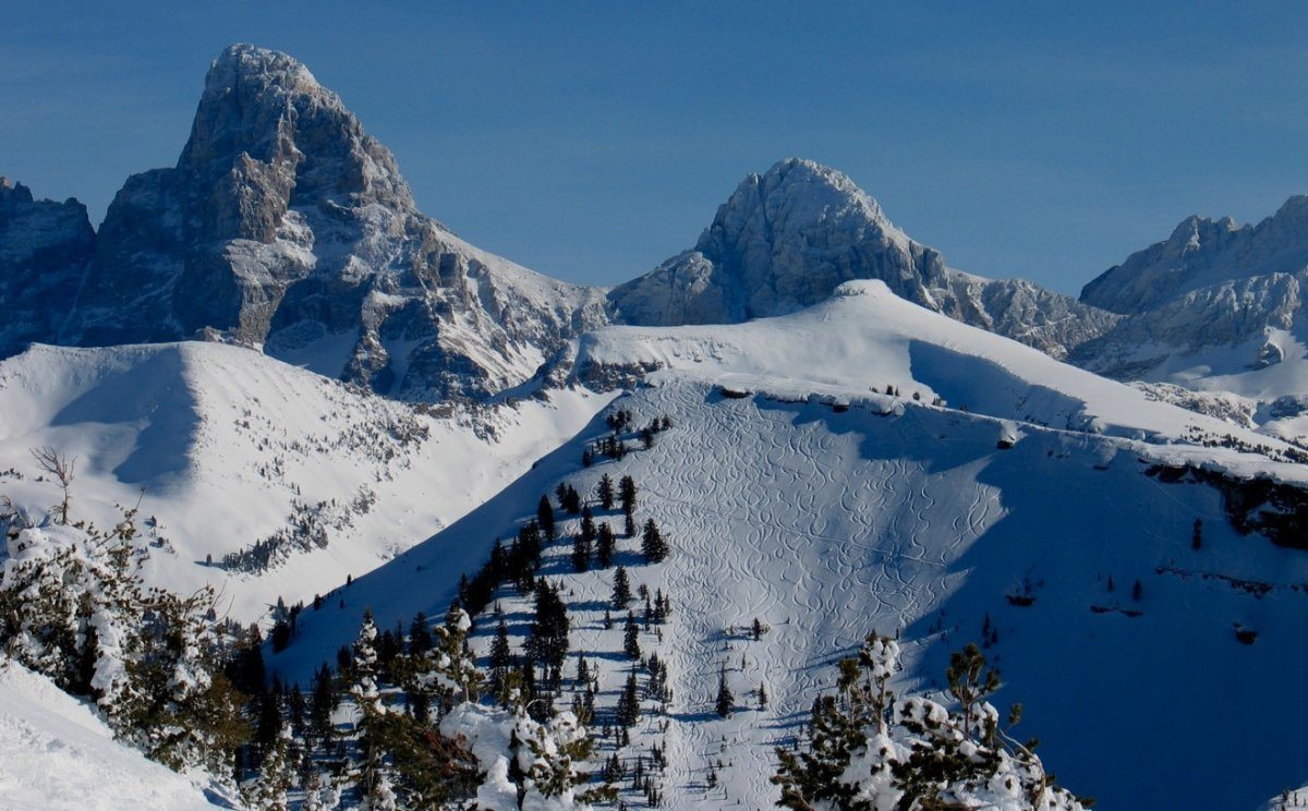 Targhee