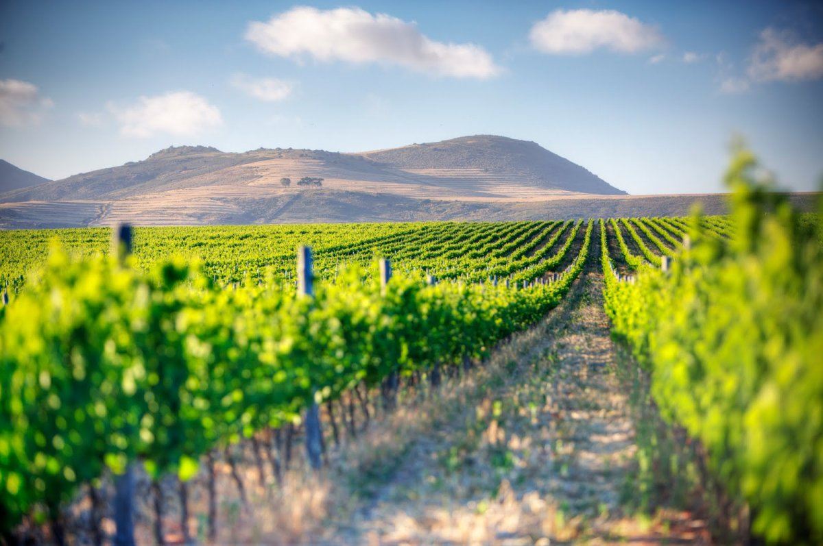 Winelands