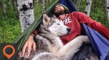 Adorable Pics of Traveling Pets!