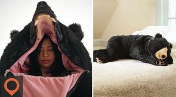 Comment Friday #17 - Bear Sleeping Bag!