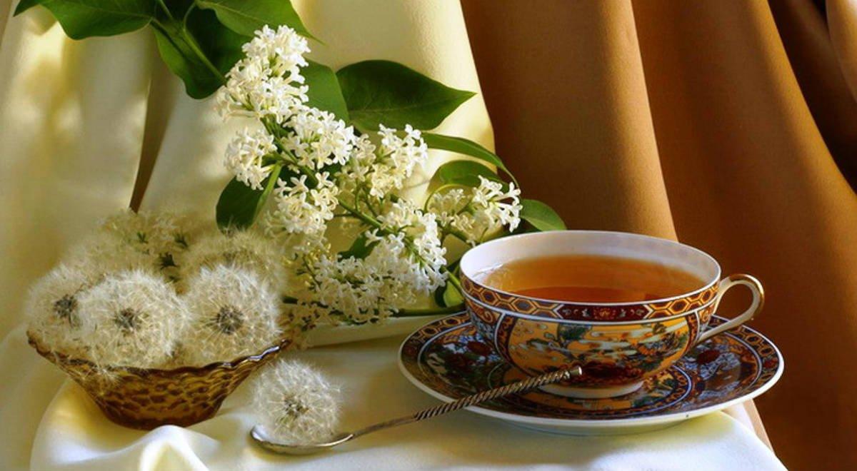 dandelion tea