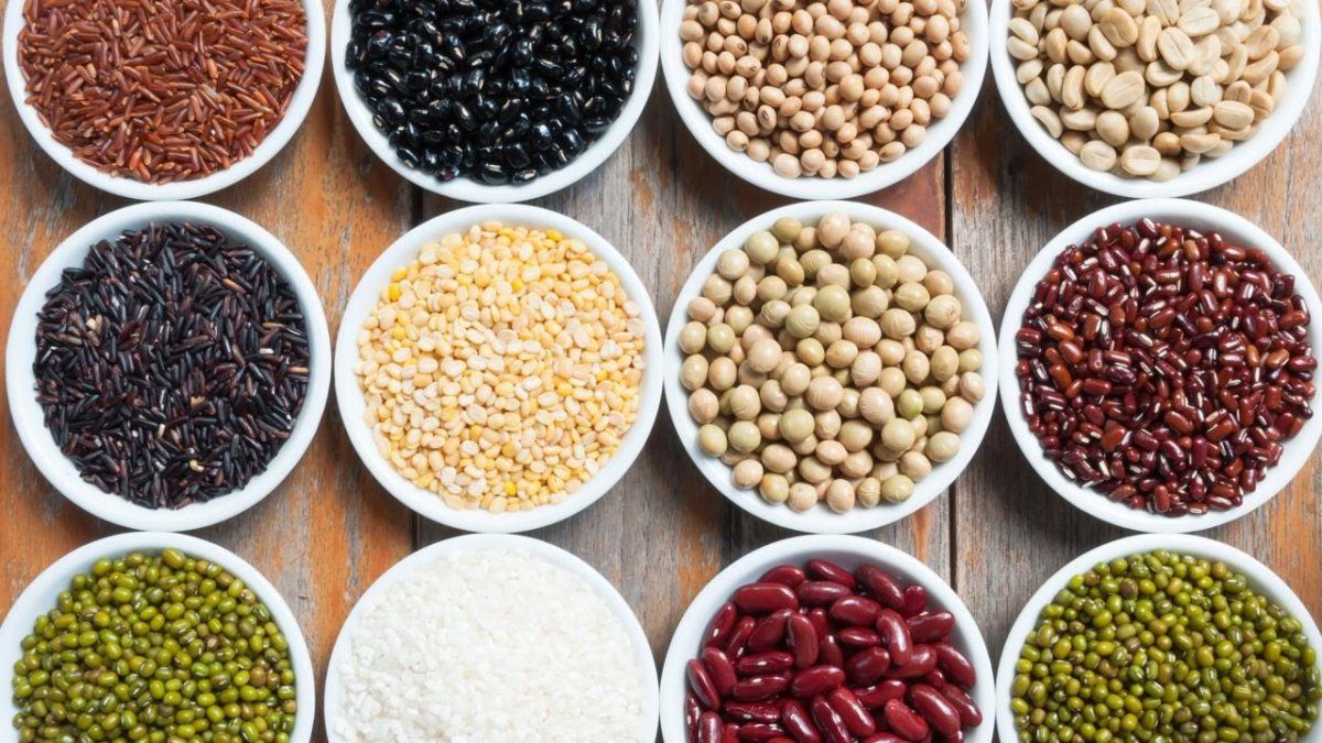 fiber food