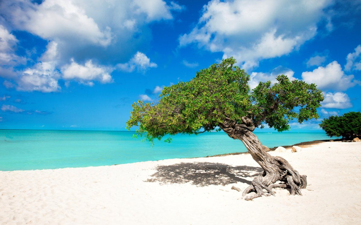 aruba