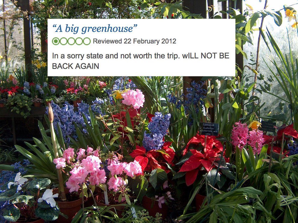 Botanic