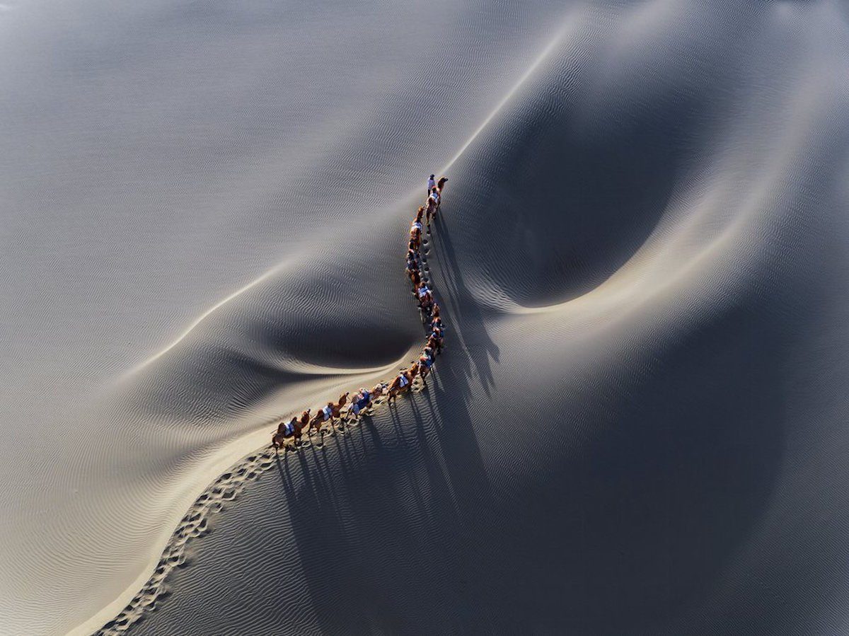 camel caravan