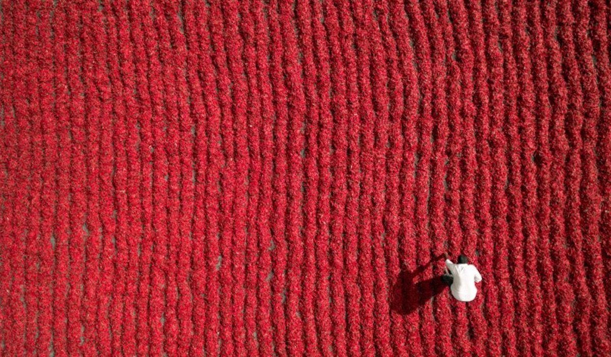 crops