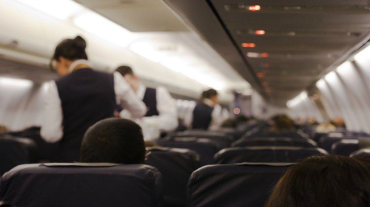 flight attendant